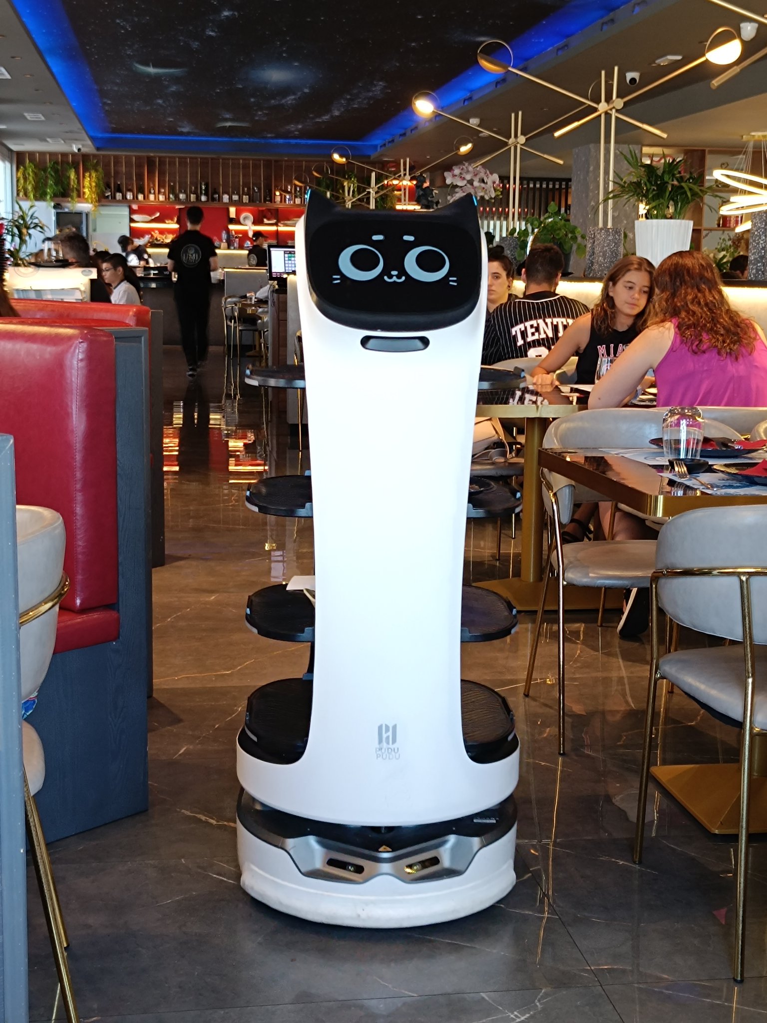 Robot kitty waiter from a local Japanese restaurant in my town