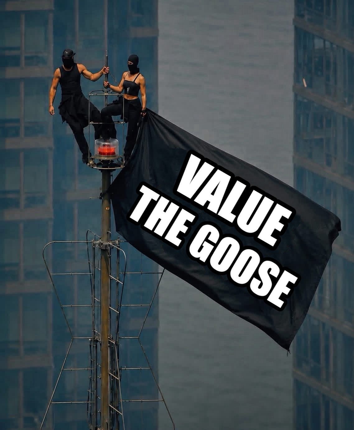 Meme of two activists settting up a flag on top of a pole. The flag reads: value the goose.