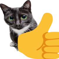 :thumbsupcat: