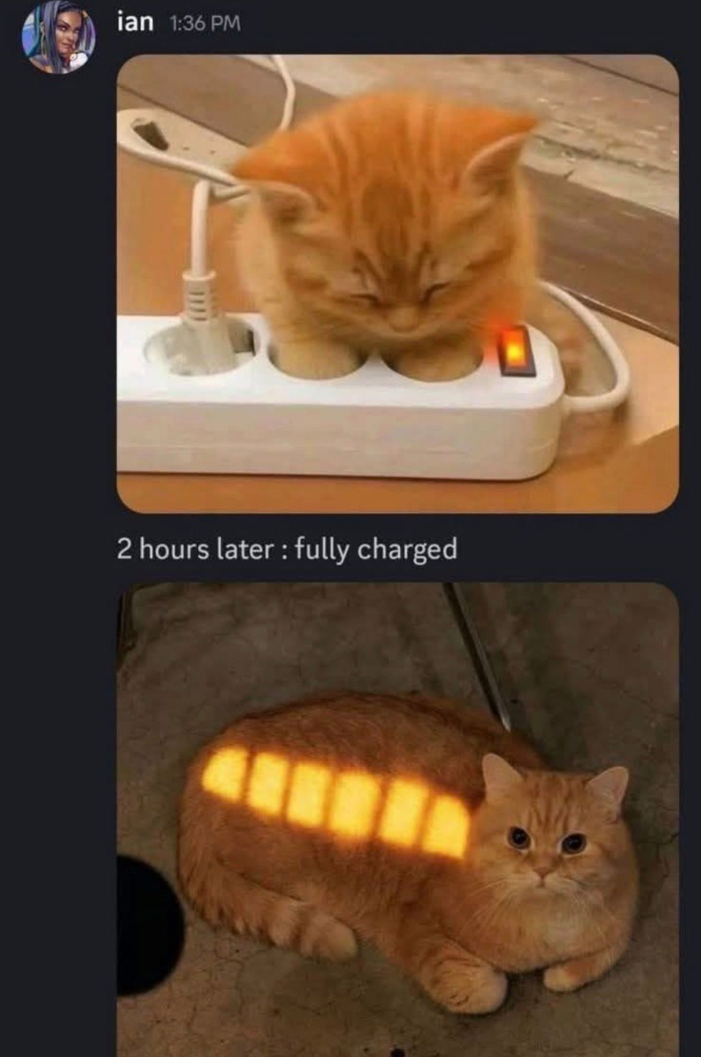 Screenshot of a message by ian
A picture of an orange kitten with it's paws in a extension cord socket
followed by the message "2 hours later; fully charged"
and a image of the same orenge cat, with light reflecting of it's fur, in a grid, that looks like a batery charge icon