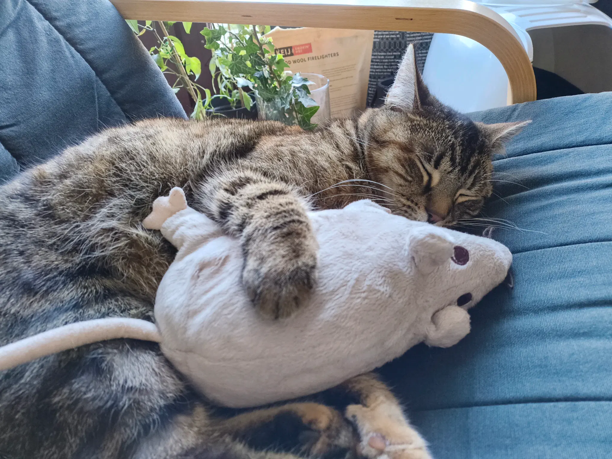 tofu hugging the IKEA rat