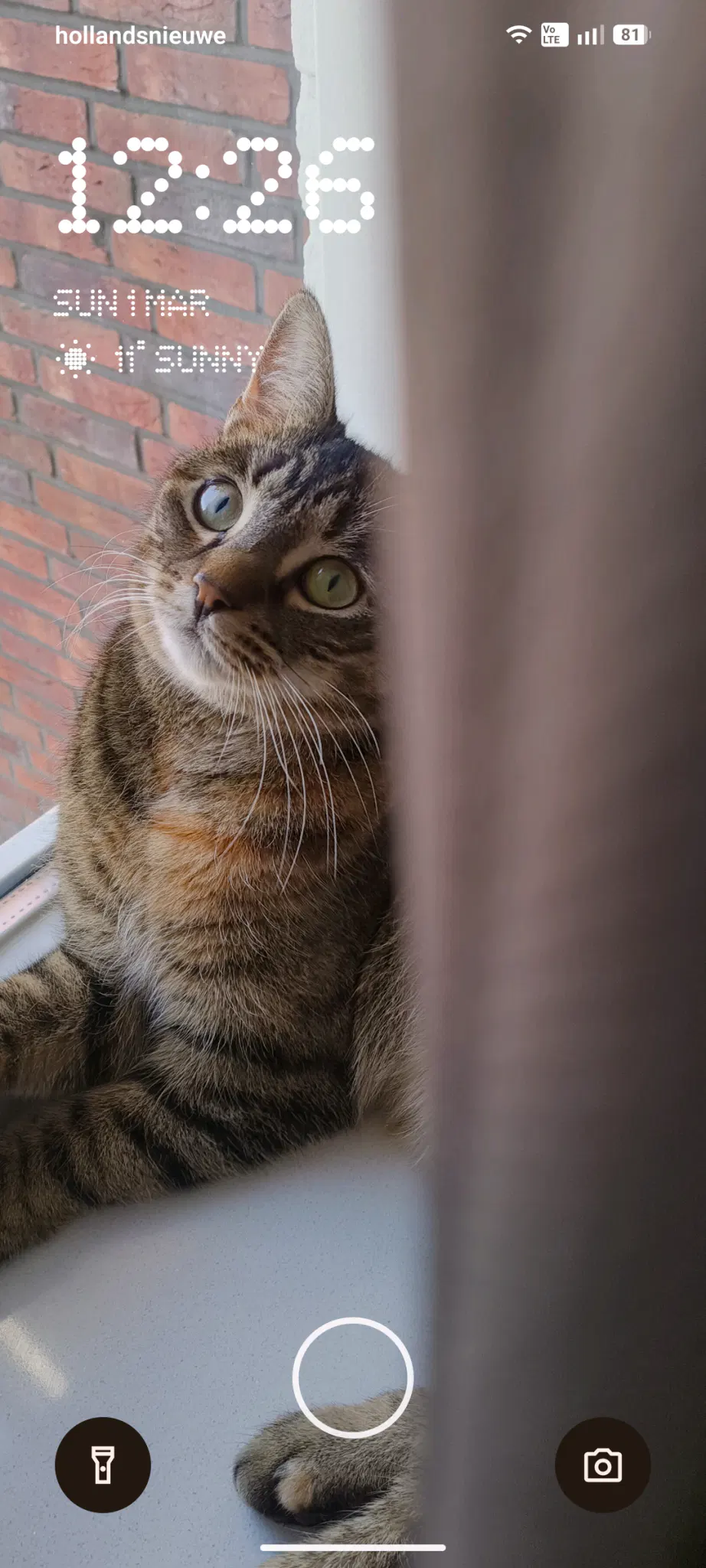 wallpaper for my smartphone