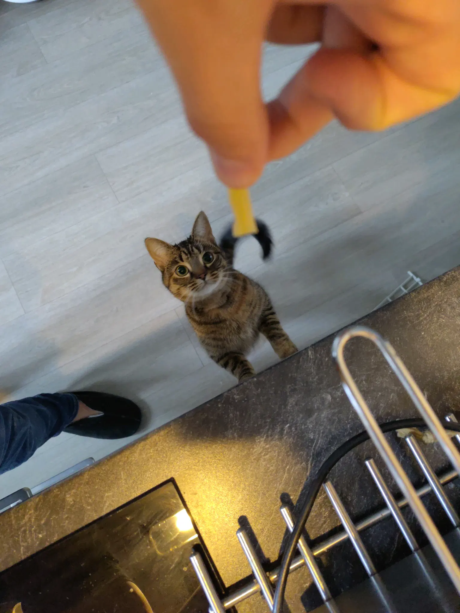 tofu aiming at cheese