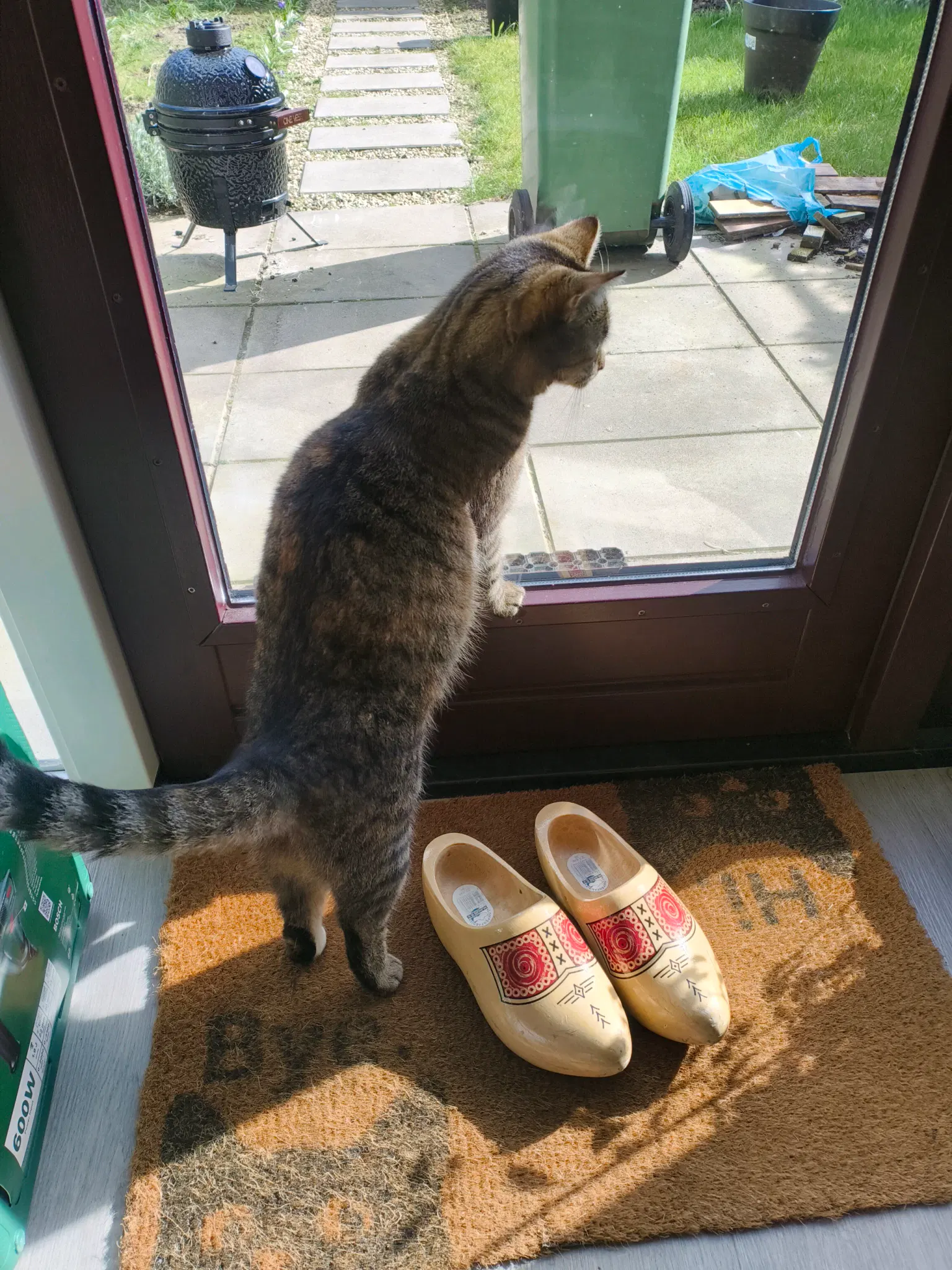 tofu looking at something...