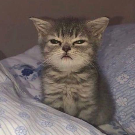 fussel@mk.absturztau.be