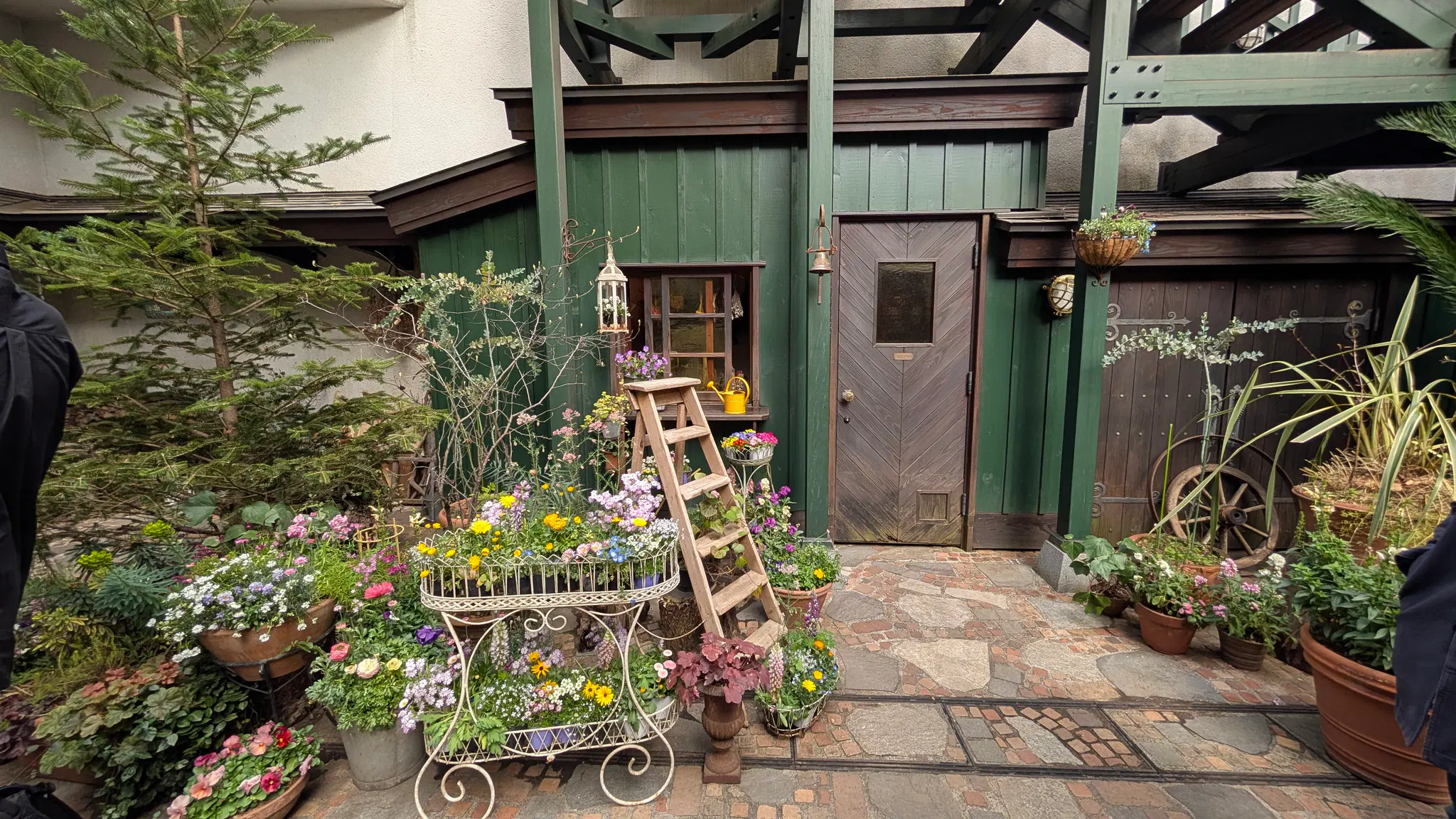 A photo of some pretty plants and flowers in front of a doorway.